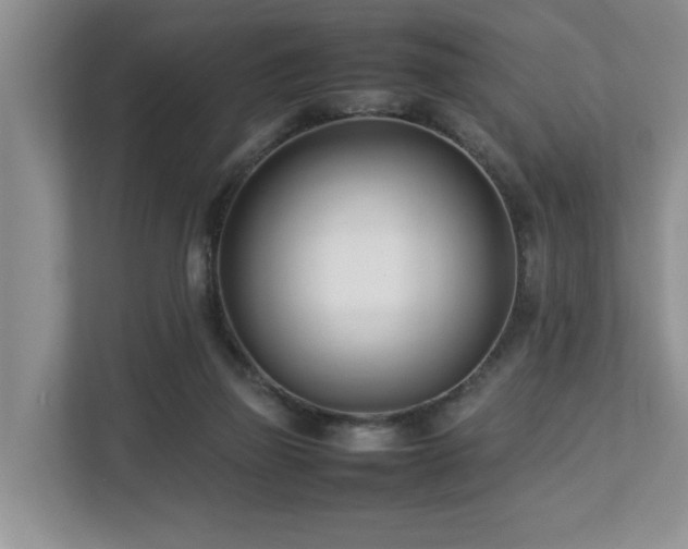 X0000112790165200908211120