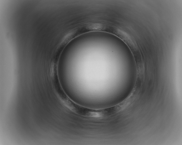 X0000112790167200908211120