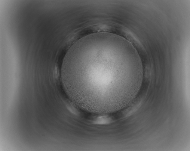 X0000112790173200908211120