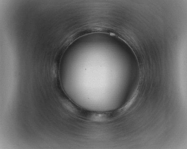 X0000112790174200908211120