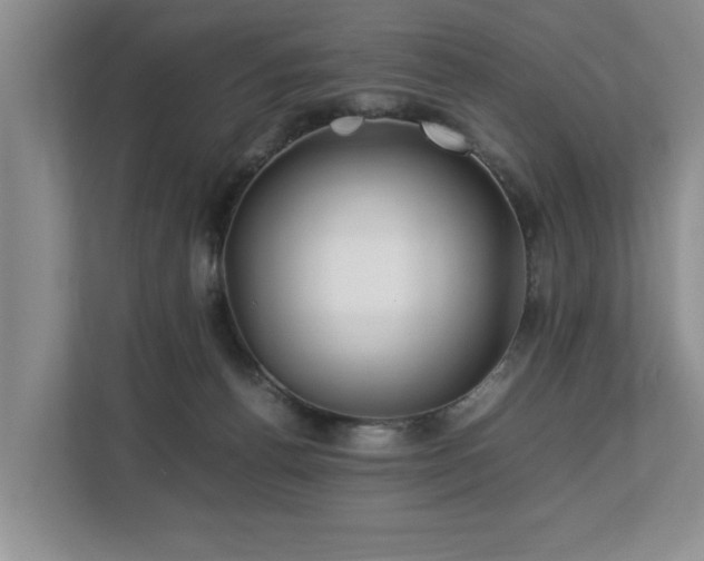 X0000112790176200908211121