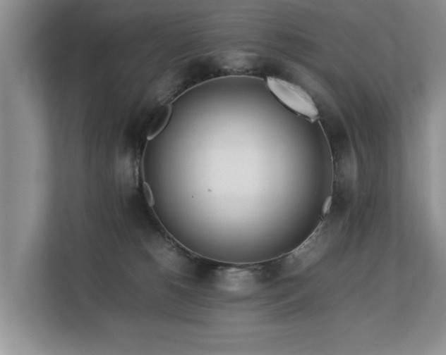 X0000112790180200908211121