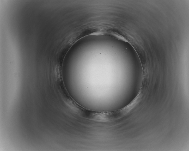 X0000112790182200908211121