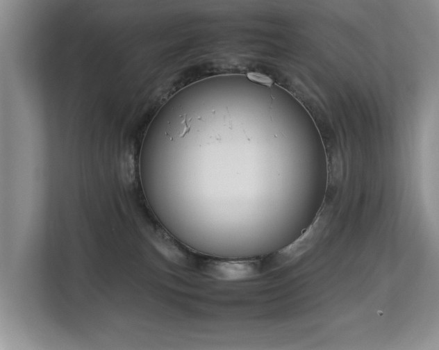 X0000112790183200908211121