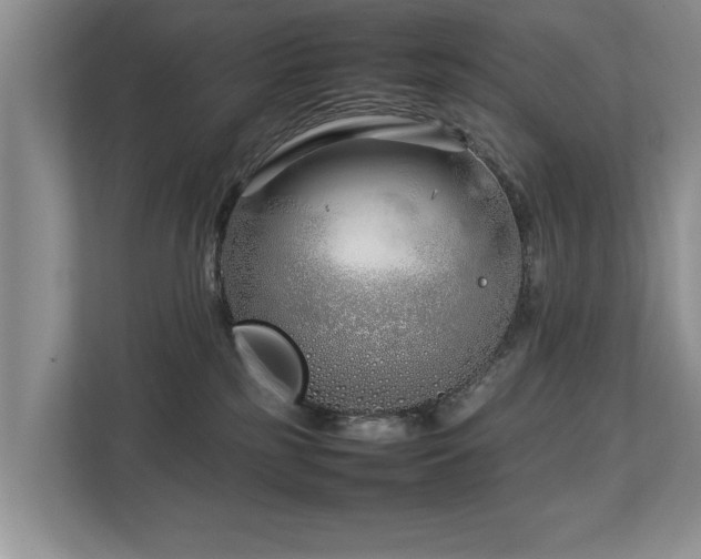 X0000112790185200908211121