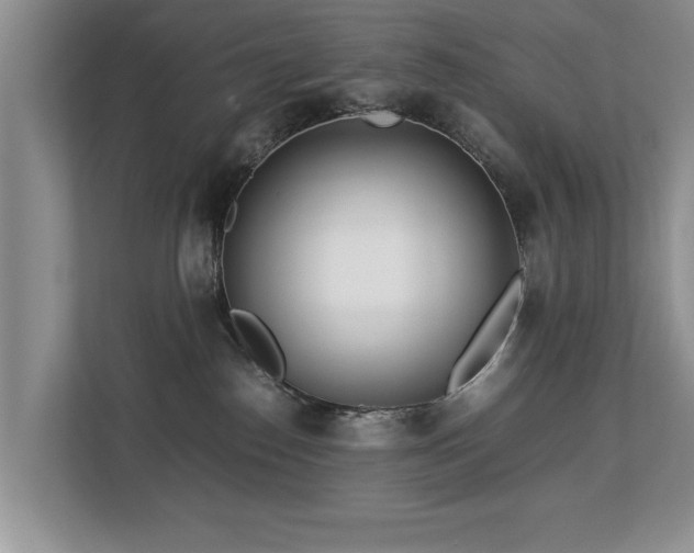 X0000112790186200908211121