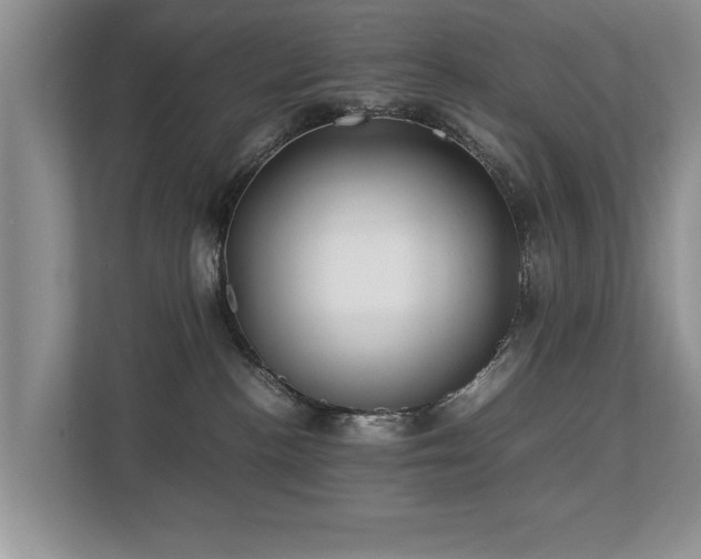 X0000112790188200908211121