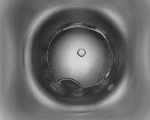 X0000112790191200908211121