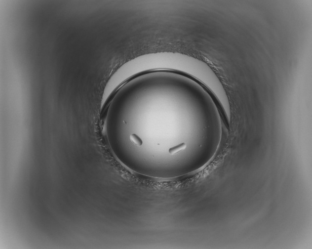 X0000112790192200908211121