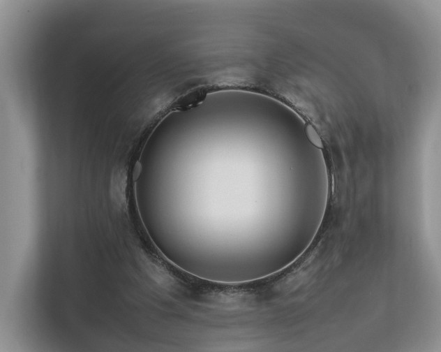 X0000112790201200908211120