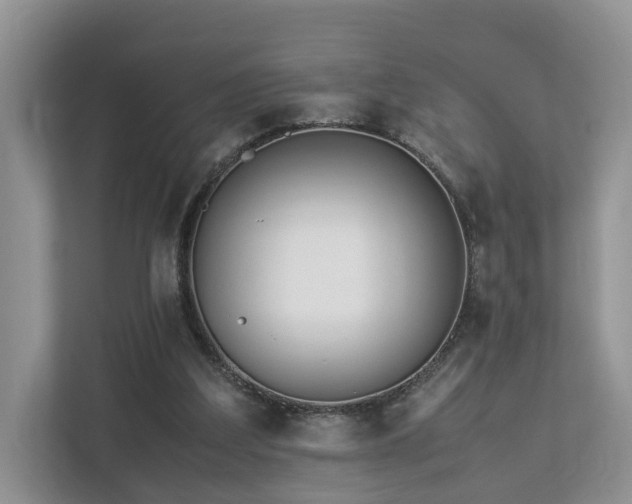 X0000112790203200908211120