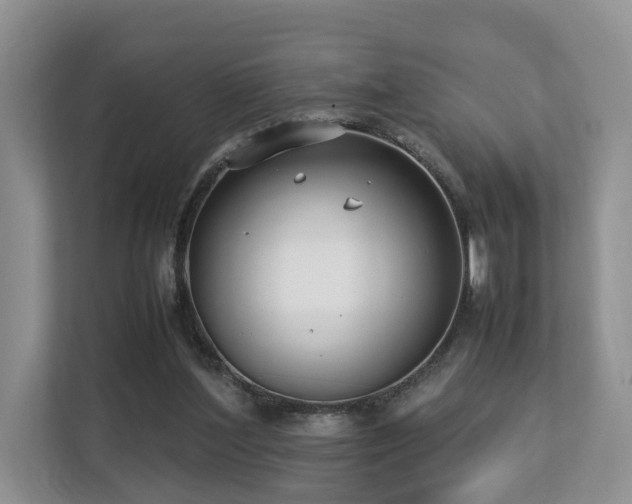 X0000112790204200908211120