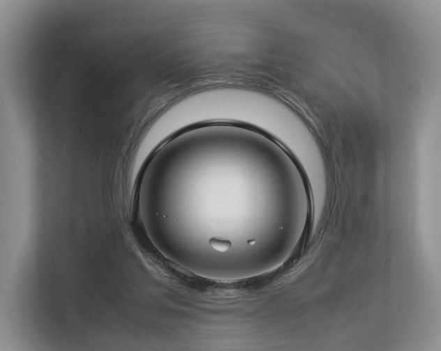 X0000112790205200908211120