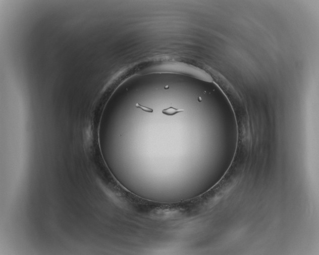 X0000112790208200908211120