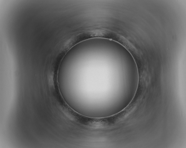 X0000112790209200908211120