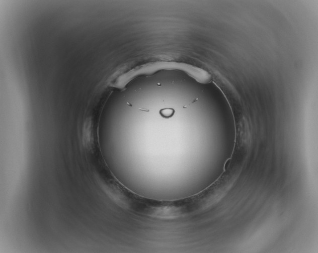 X0000112790212200908211120