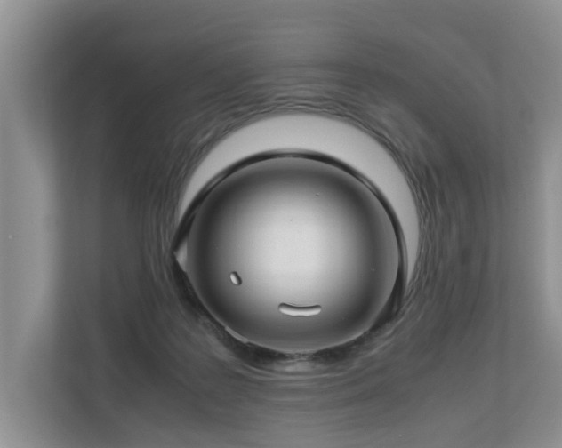 X0000112790219200908211120