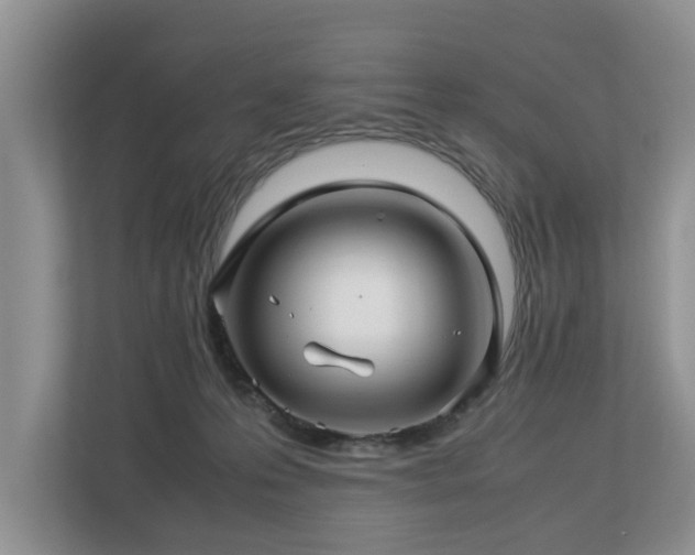 X0000112790223200908211120