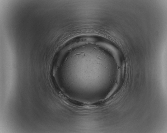 X0000112790227200908211120