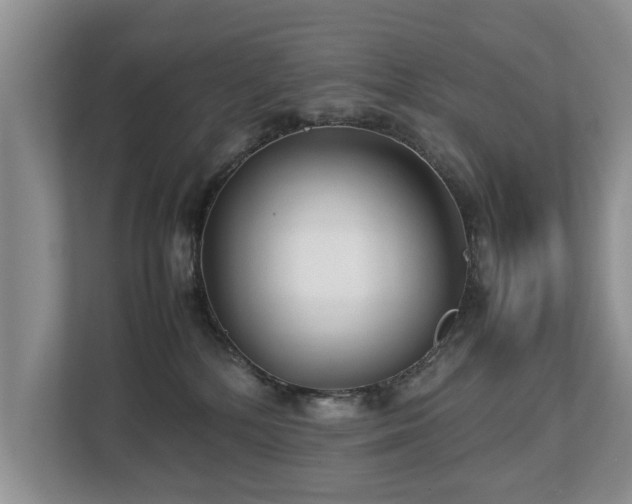 X0000112790232200908211120