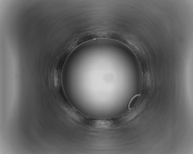 X0000112790234200908211120