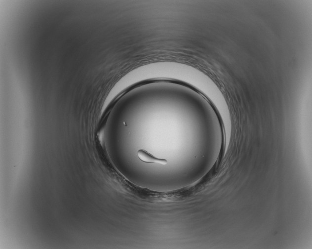 X0000112790235200908211120