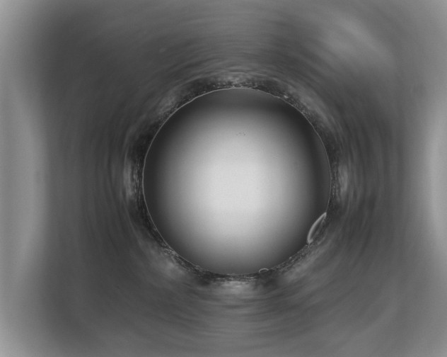 X0000112790236200908211120