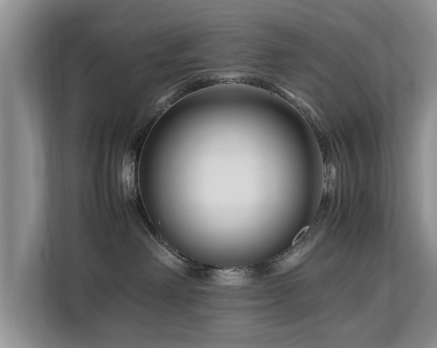 X0000112790238200908211119