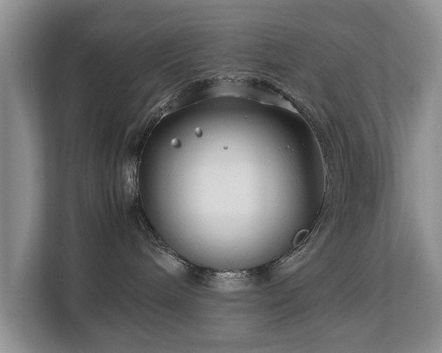 X0000112790240200908211119