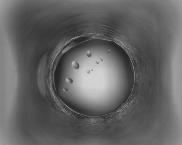 X0000112790241200908211119