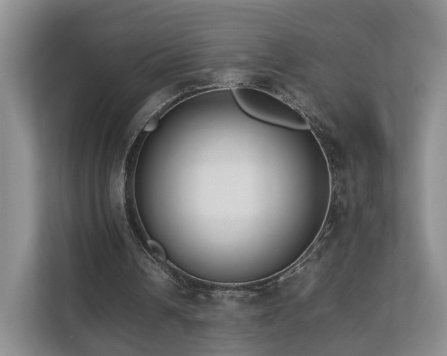 X0000112790242200908211119