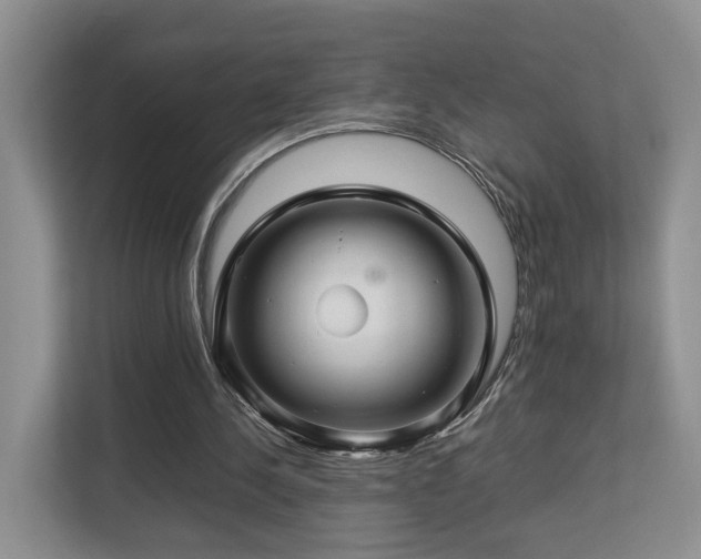 X0000112790244200908211119