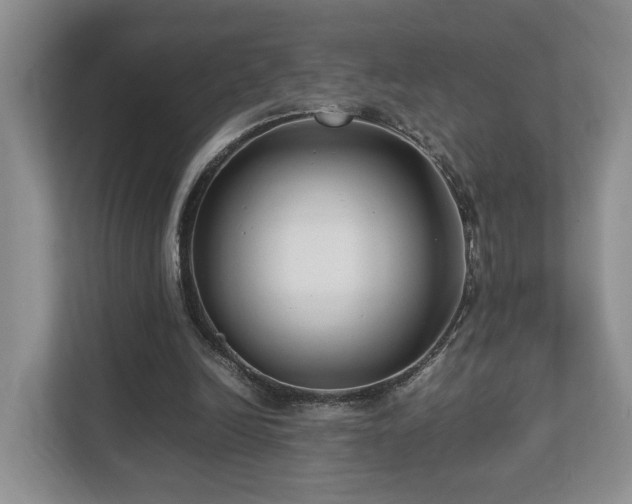 X0000112790246200908211119