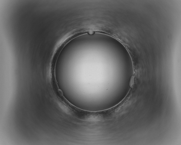 X0000112790248200908211119