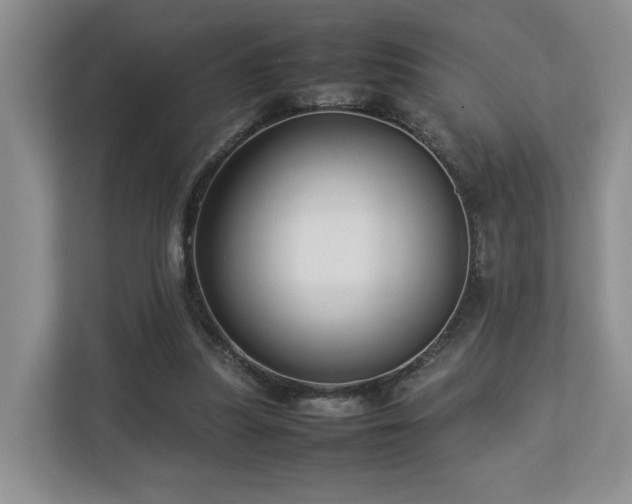 X0000112790251200908211119