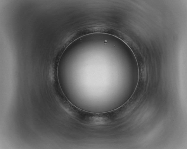 X0000112790255200908211119