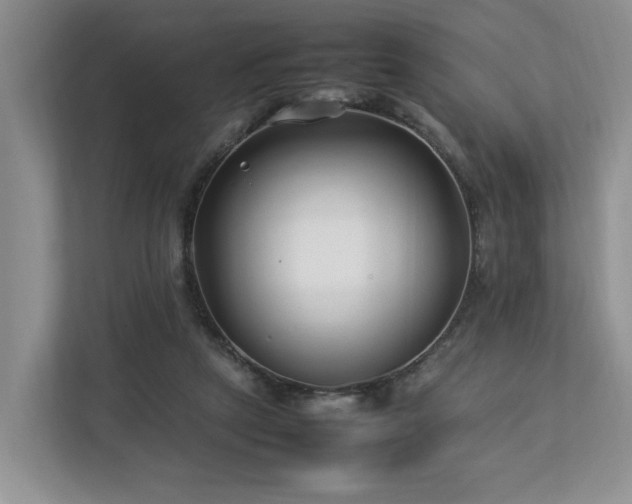 X0000112790257200908211119