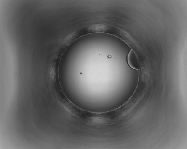 X0000112790259200908211119