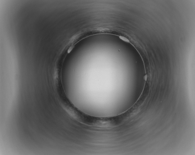 X0000112790260200908211119