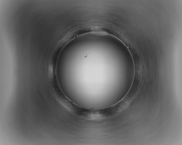 X0000112790262200908211119