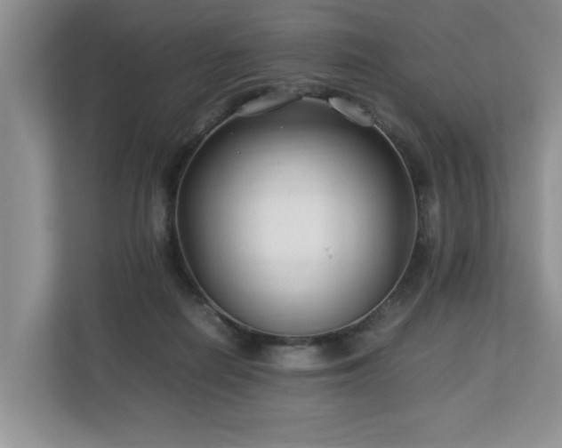 X0000112790266200908211119