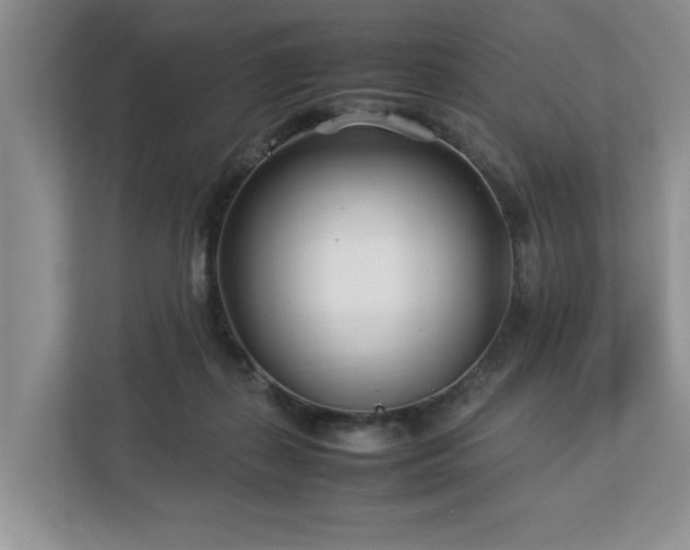 X0000112790267200908211119