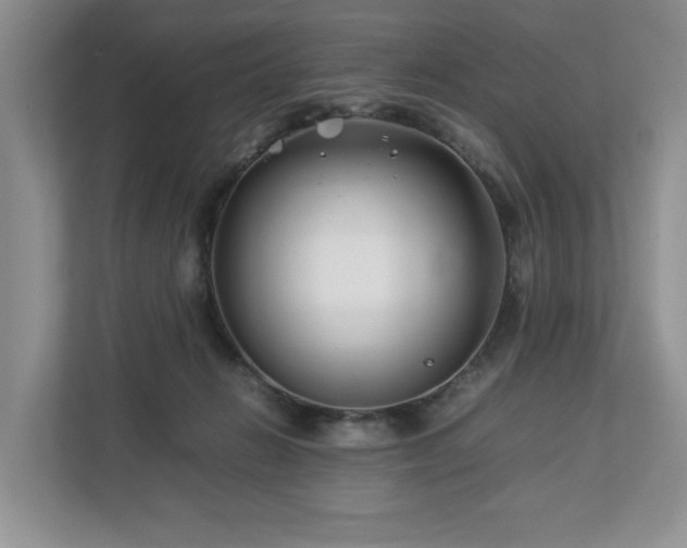 X0000112790270200908211119