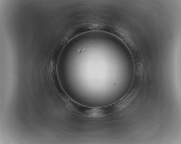 X0000112790273200908211119