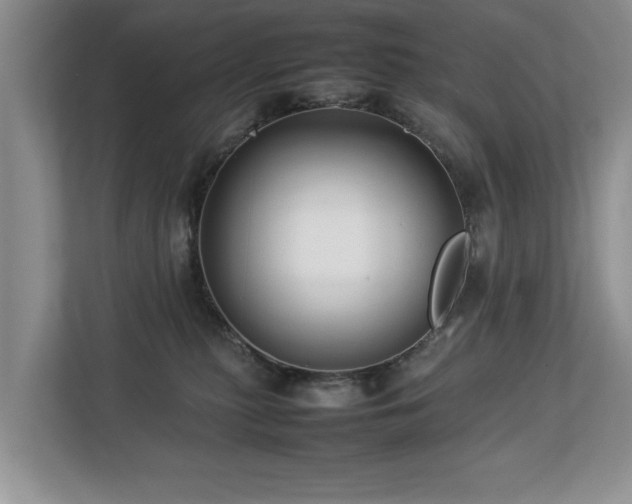 X0000112790279200908211119