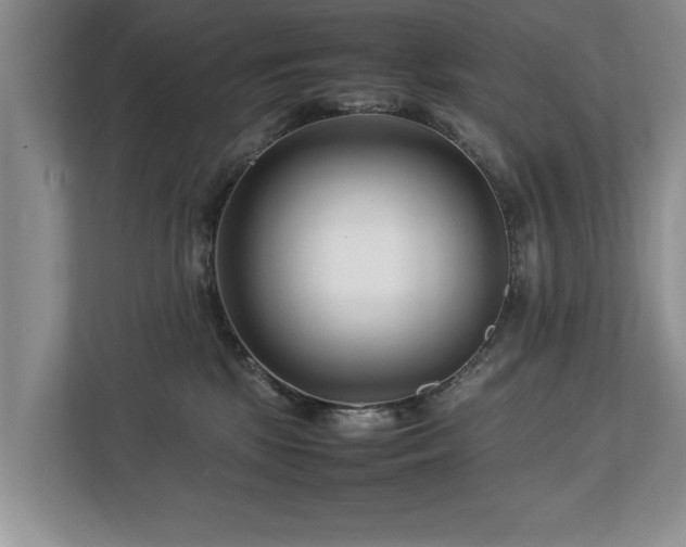 X0000112790281200908211119