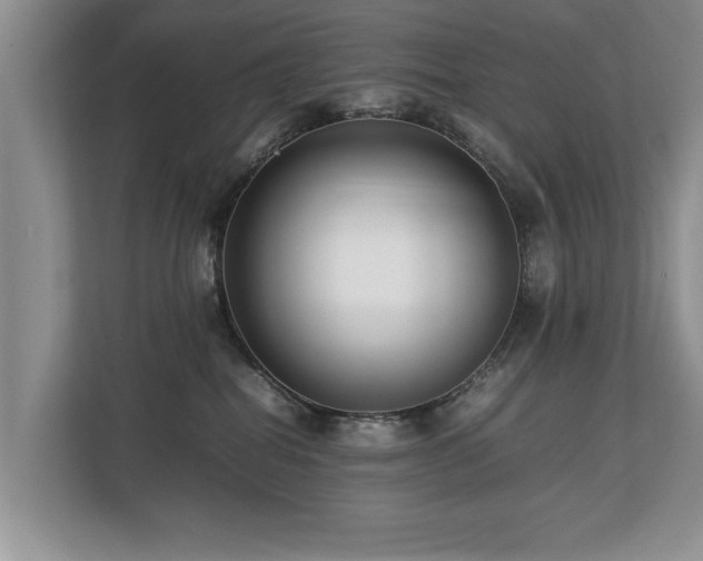 X0000112790282200908211119