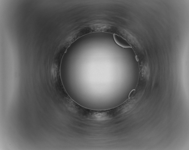 X0000112790283200908211119