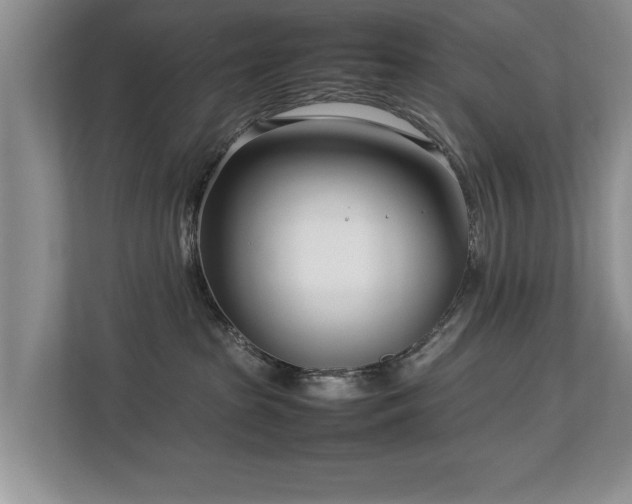 X0000112790285200908211119