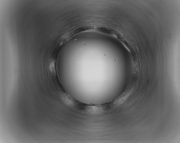 X0000112790286200908211119